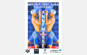 MEETING REGIONAL ANNEMASSE