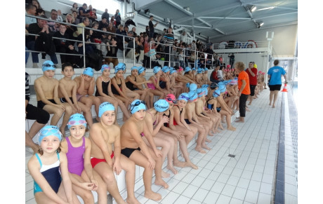 INTRACLUB ECOLE DE NATATION