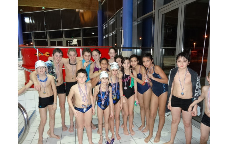 1ère JOURNEE DAUPHINS 15 décembre à FERNEY