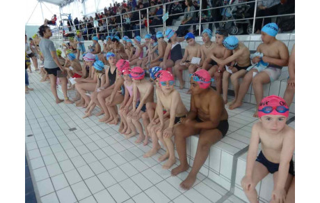 INTRACLUB N°2 ECOLE DE NATATION