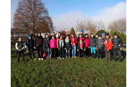 BENJAMINS +  COUPE DE L'AIN  15 décembre 2013  AMBERIEU