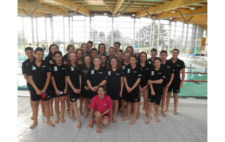 NATATHLON BENJAMINS PLOT N°2 et MEETING DEPARTEMENTAL  008/03/2015  AMBERIEU