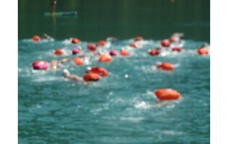 Samedi 11 juillet  Eau libre sur le lac de Nantua  à partir du Club de Voile